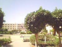 مدرسة المتفوقين الثانوية بعين شمس